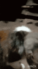 a blurred image of a person 's face with the words inshot at the bottom