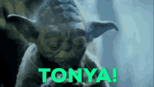 Tonya Yoda GIF - Tonya Yoda Praying GIFs