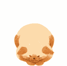a cartoon drawing of a cat sitting on a white background .