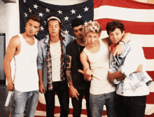 One Direction Pose GIF - One Direction Pose Flag GIFs