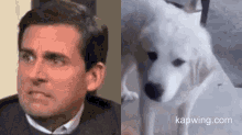 Funny Animals The Office GIF - Funny Animals The Office Michael Scott GIFs
