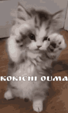Kokichi Danganronpa GIF - Kokichi Danganronpa Kitten GIFs