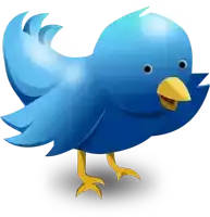 a blue bird with a yellow beak is standing on a white background