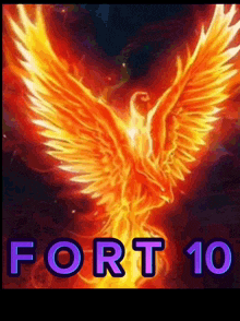 Fort1 GIF - Fort1 GIFs