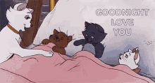 Tired Goodnight GIF - Tired Goodnight Cat GIFs