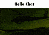 Hello Chat Tno GIF - Hello Chat Hello Tno GIFs
