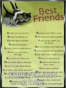 Best Friends Bets GIF - Best Friends Bets Forever GIFs