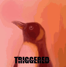Triggered Penguin GIF - Triggered Penguin Original GIFs