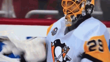 Pittsburgh Penguins Stick GIF - Pittsburgh Penguins Stick Fleury GIFs