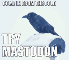 Mastodon Try Mastodon GIF - Mastodon Try Mastodon Migrule GIFs