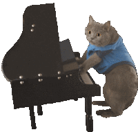 Piano Cat Sticker