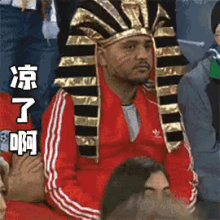 世界杯 球迷 埃及 凉了 GIF - Fifa World Cup Football Fans GIFs