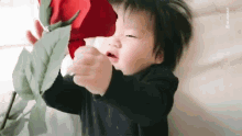 Baby Smelling GIF - Baby Smelling Flower GIFs
