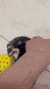 a close up of a person 's arm with a yellow item in the background