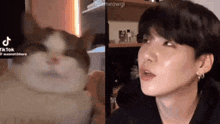 a man and a cat are sitting next to each other .