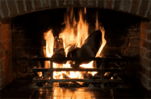 Cozy Fireplace GIF