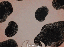 a cartoon cow says mooing in front of a cow print background