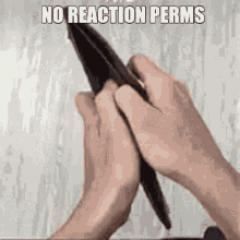 No Reaction Perms No Perms GIF - No Reaction Perms No Perms GIFs