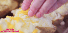 Cheese Potato GIF - Cheese Potato Preparing GIFs