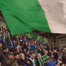 Waving Flag Northern Ireland GIF - Waving Flag Northern Ireland Fans Cheering GIFs