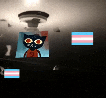 a picture of a cat with a no sign on its chest