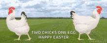 happy easter easter sunday easter eggs chicken two chicks one egg