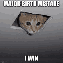 Major Birth Mistake Minor Spelling Mistake GIF - Major Birth Mistake Minor Spelling Mistake Major Mistake GIFs