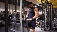 Reverse Cable Arm Curl GIF - Reverse Cable Arm Curl GIFs