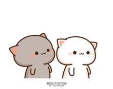 Mochi Poke Poke Cute Cat GIF