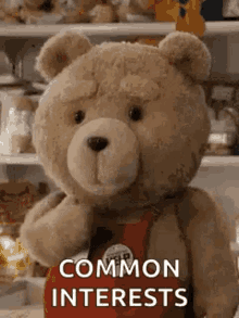 oso amor oso ted teddy bear common interests