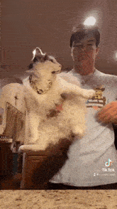 a man is holding a cat wearing a chain around its neck .
