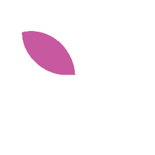 a colorful butterfly shaped logo with a x in the middle