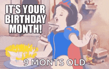 Snow White Birthday GIF - Snow White Birthday Blow Candle GIFs
