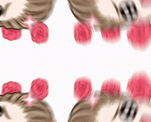 a drawing of a woman 's face with pink roses
