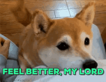 Feel Better, My Lord GIF - Feel Better Get Well Sick GIFs