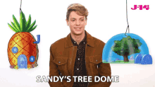 sandys tree dome spongebob sandy bikini bottom nickelodeon