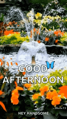 Good Afternoon Fountain GIF - Good Afternoon Fountain Flowers GIFs