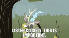 Mlp Discord GIF - Mlp Discord Listen Closely This Is Important GIFs