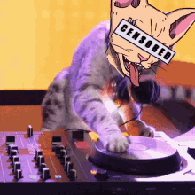 Cats On Crack GIF - Cats On Crack GIFs