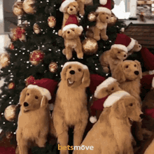 Noel Merry Christmas GIF - Noel Merry Christmas Dog GIFs