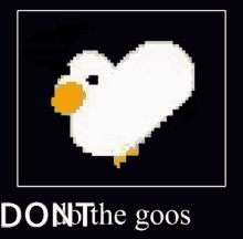 Dont The Goos GIF - Dont The Goos GIFs