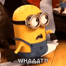 a cartoon minion wearing goggles and overalls is standing on a wooden floor and says what ?