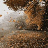 the leaves are falling from the trees in a park