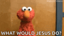 elmo from sesame street is asking what would jesus do