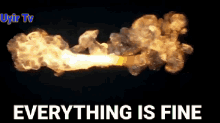 Everything Is Fine Rt Rana GIF