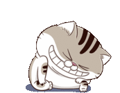 Ami Fat Cat Laugh Sticker - Ami Fat Cat Laugh Lol Stickers