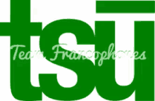 Tsu Francophone GIF - Tsu Francophone Flashing GIFs