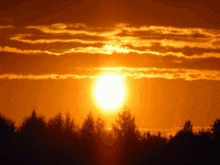 Parry Sunset GIF - Parry Sunset Love GIFs