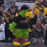 Pittsburgh Pirates Parrot GIF - Pittsburgh Pirates Parrot Mascot GIFs