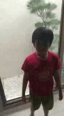 a young boy in a red shirt and green shorts is standing in front of a glass door .